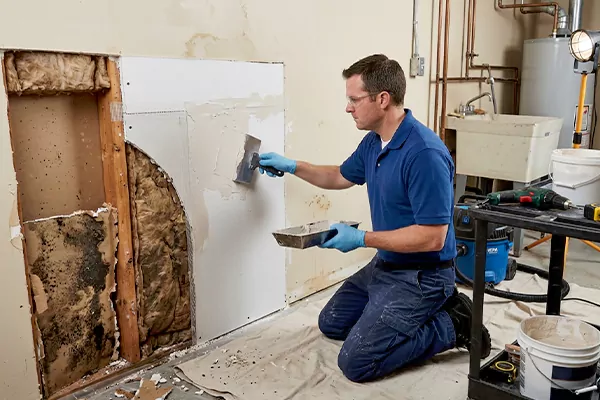 Mold and Drywall Repair Lehi