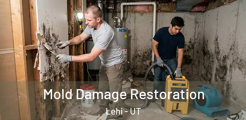 Mold Damage Restoration Lehi - UT