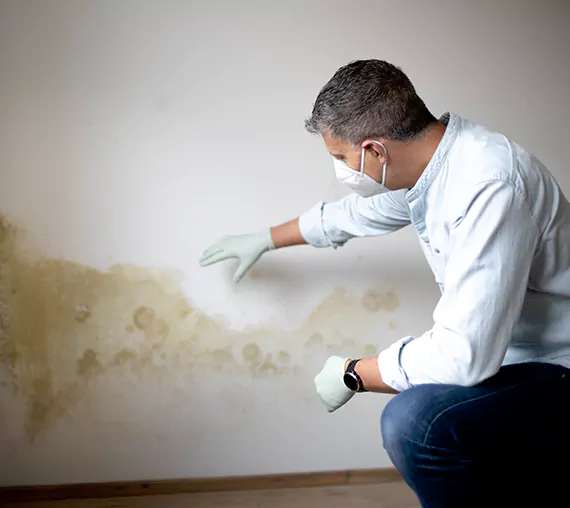 Mold Removal Service in Lehi, UT