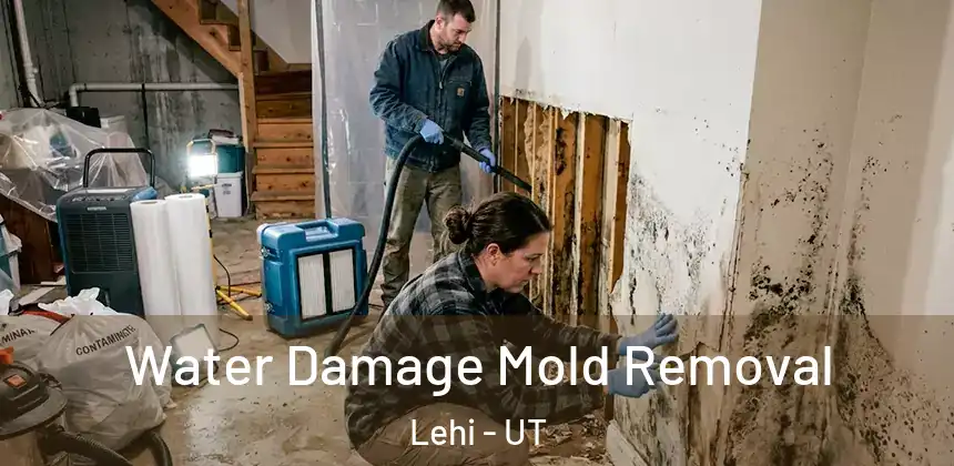  Water Damage Mold Removal Lehi - UT